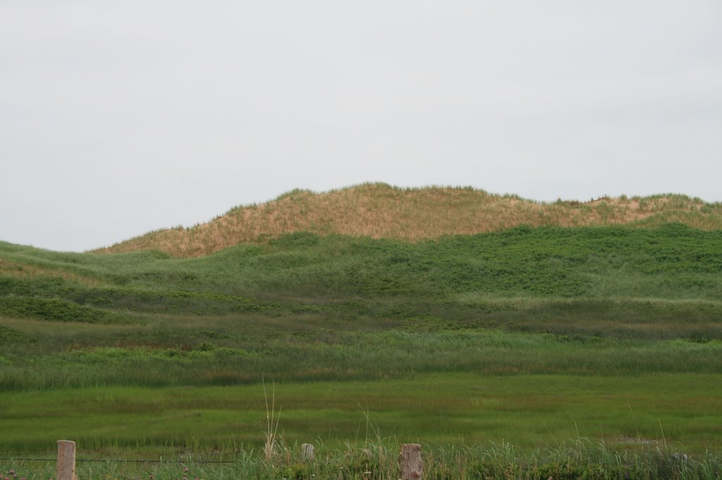 Dunes of Covehead Bay by TFa Muc