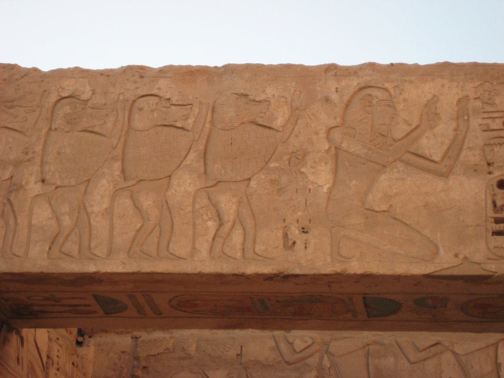 Relief of Baboons by Zekers