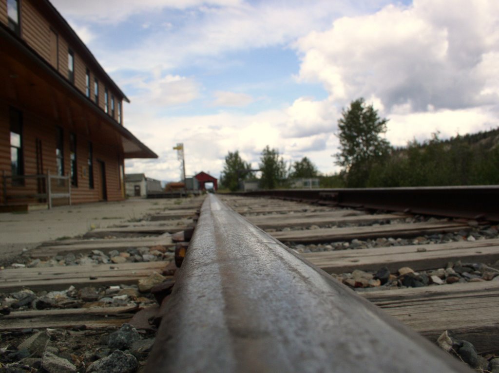 Narrow Gauage Railway by Mike Hogan