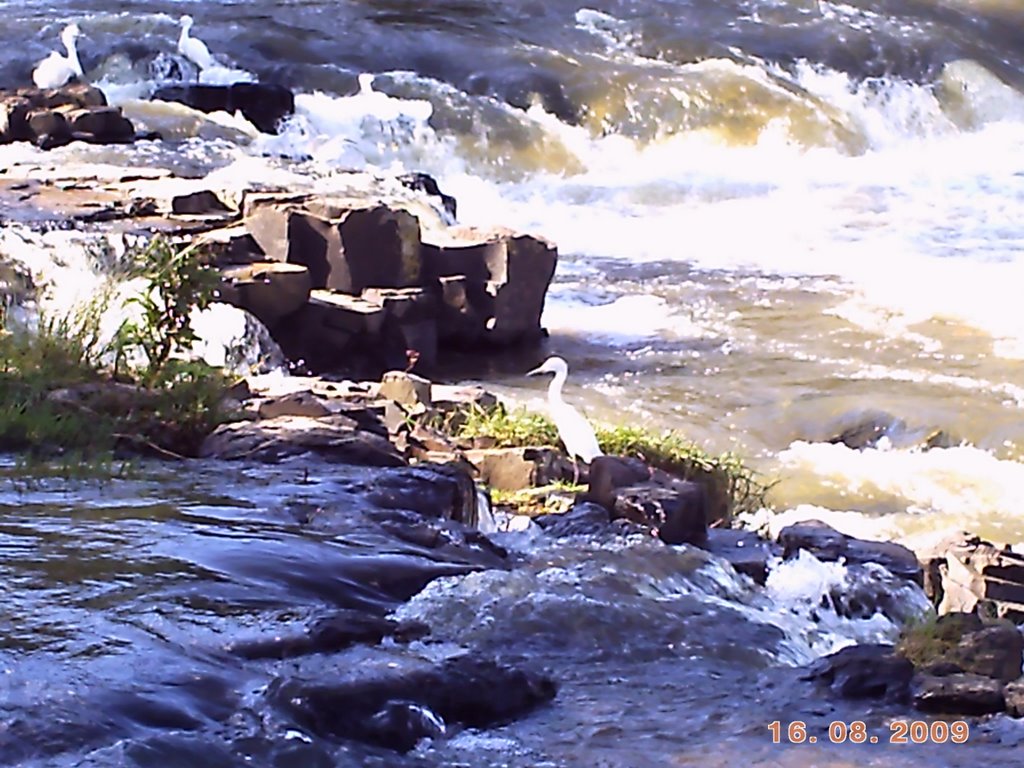 Cachoeira e Garças by mfrigieri