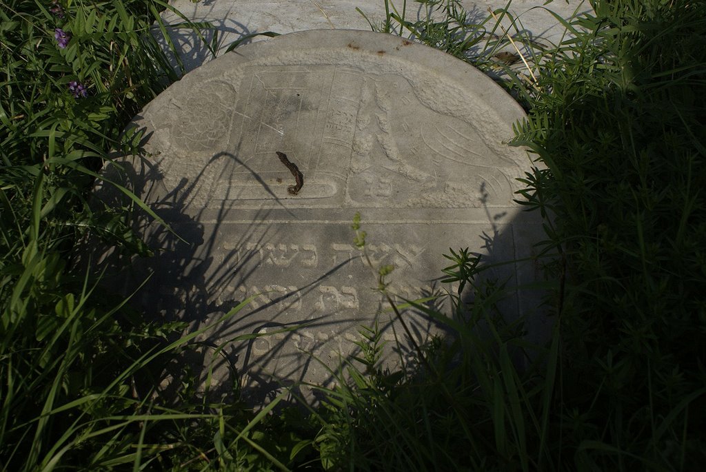 Jewish Cemetery (Kirkut). Sławatycze. Podlasie. Poland. by wurkut