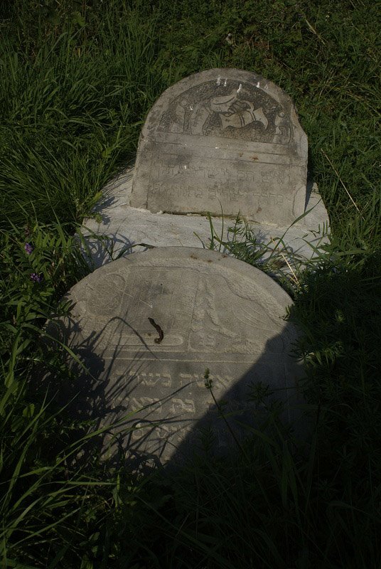 Jewish Cemetery (Kirkut). Sławatycze. Podlasie. Poland. by wurkut