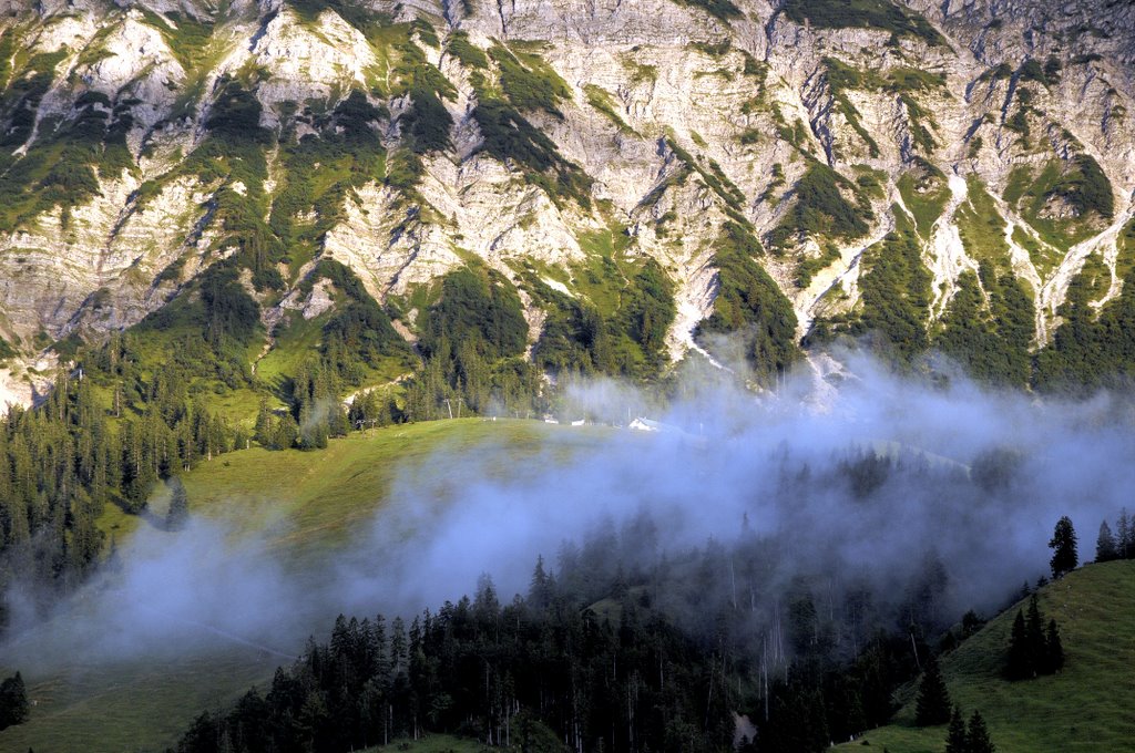 Wiedhagalpe in Nebelschwaden by erlebnis-foto.de