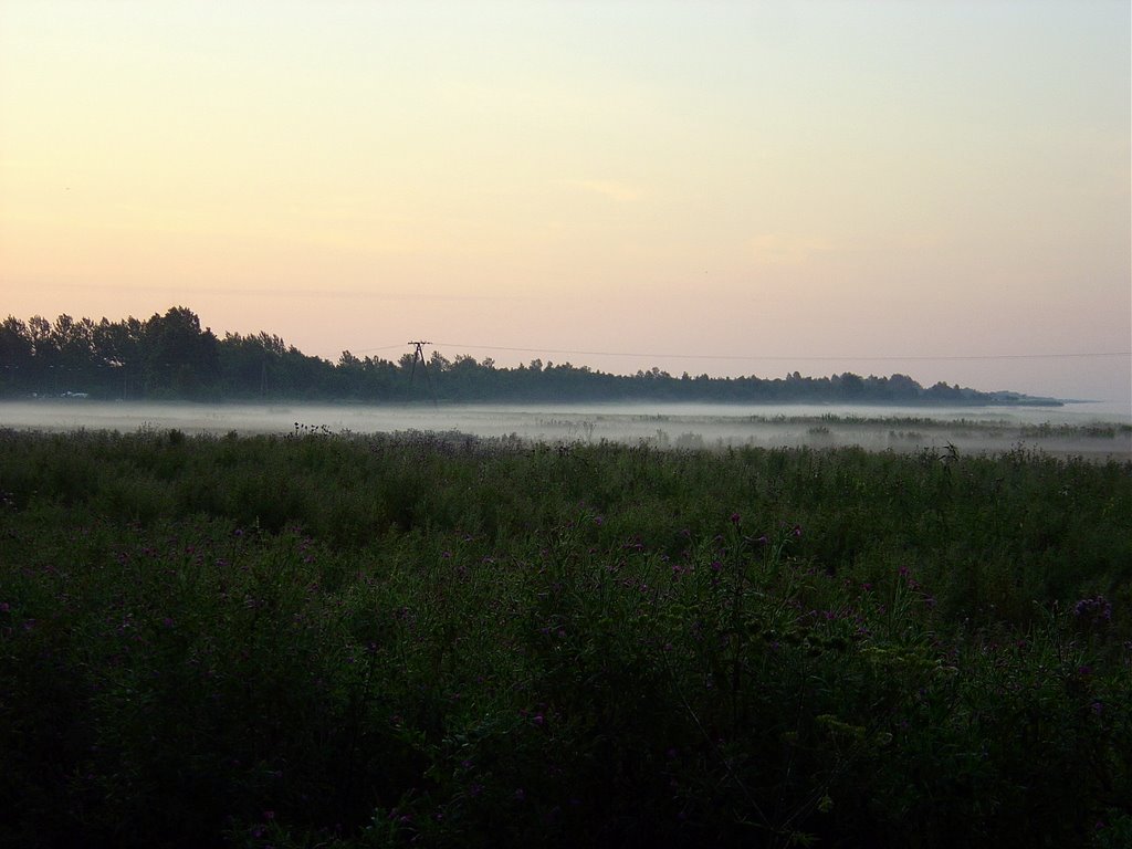 Meadow at sunrise by nowotny