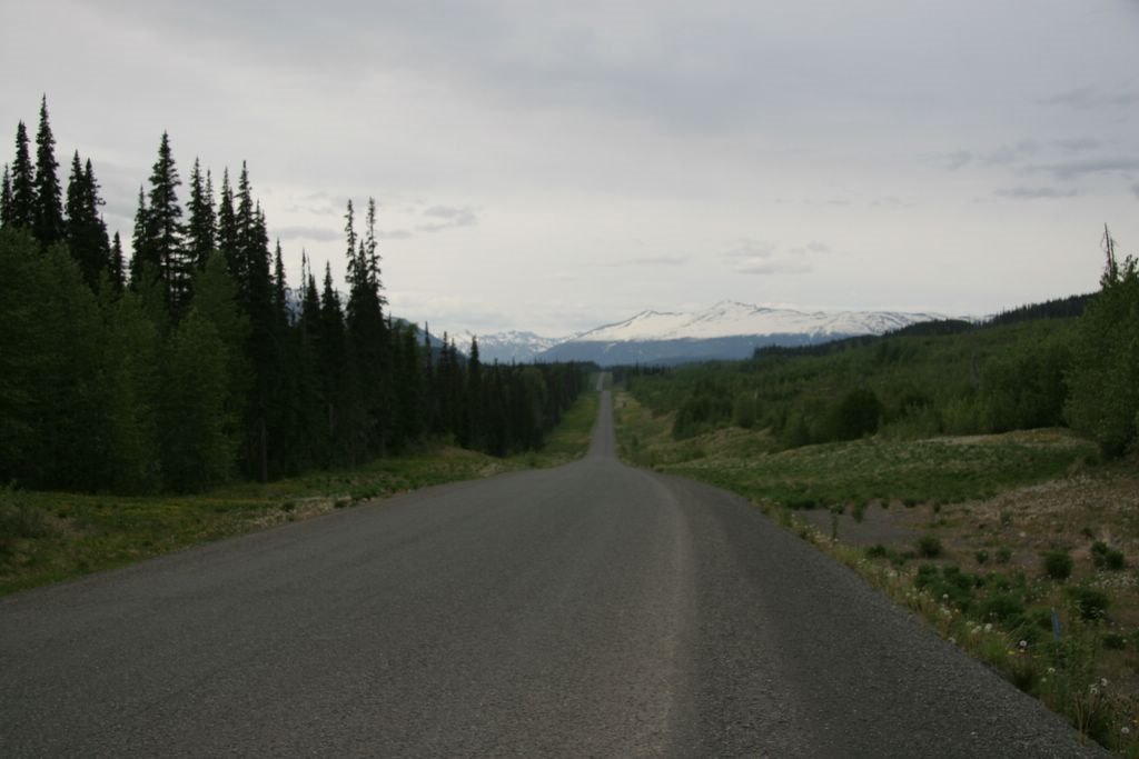 Cassiar Highway agriculture: old forest on left, young on right by http://timtraveler.c…