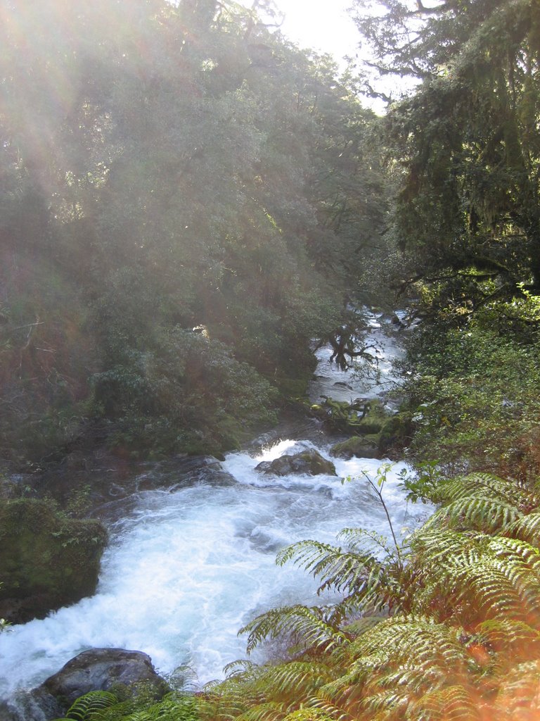 Southland District, Southland, New Zealand by elkoraini