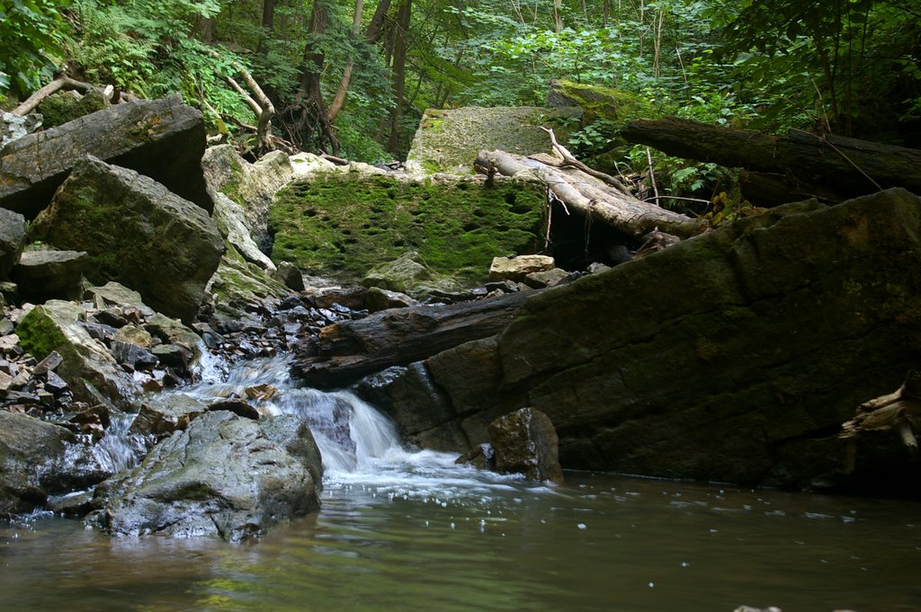 Tiffany Falls Creek by Brett Zimmerman