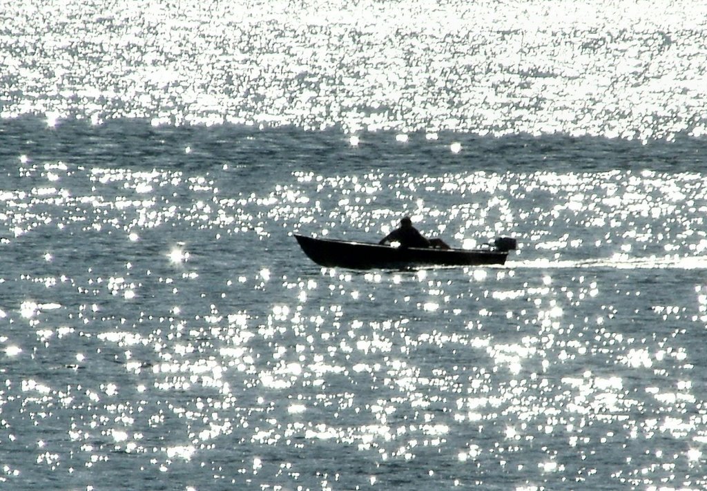 Fra le stelle del lago, Omegna, 24 agosto 2005, ore 16,41 by Marco Carnelli