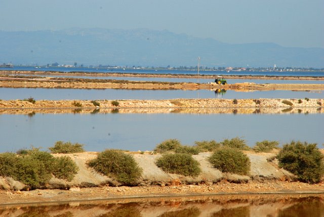 Punta de la banya (Josep Moré) by Josep Moré