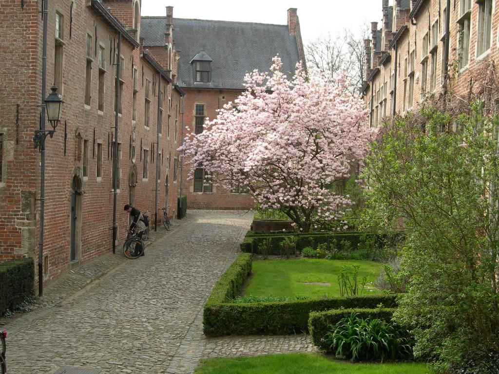 The Begguinage by Eric Medvet