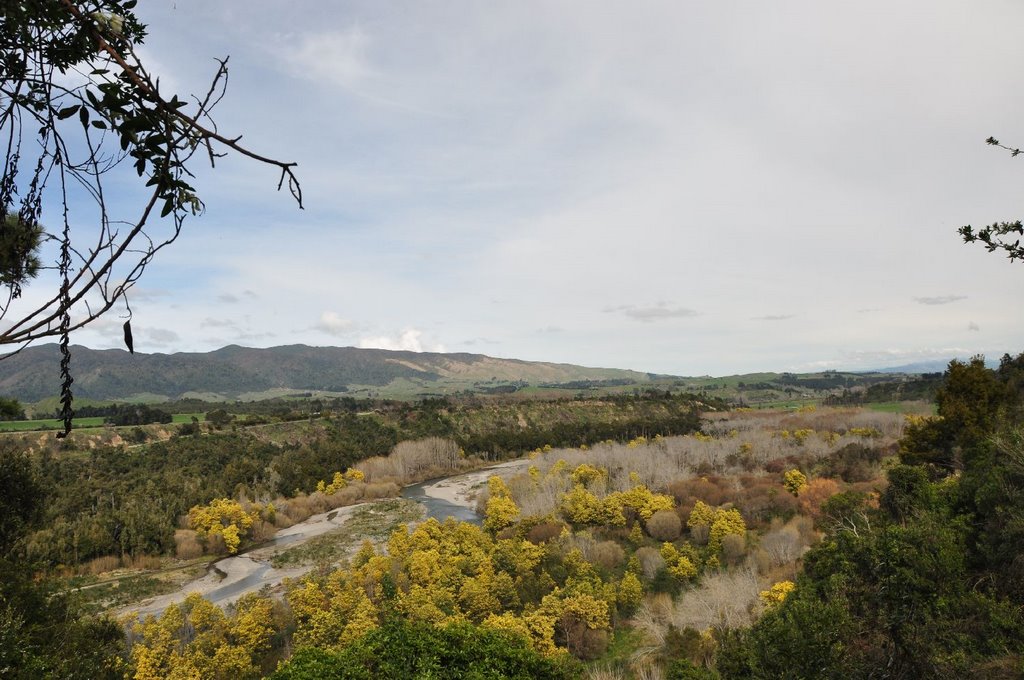 Pohangina Valley by lumpic