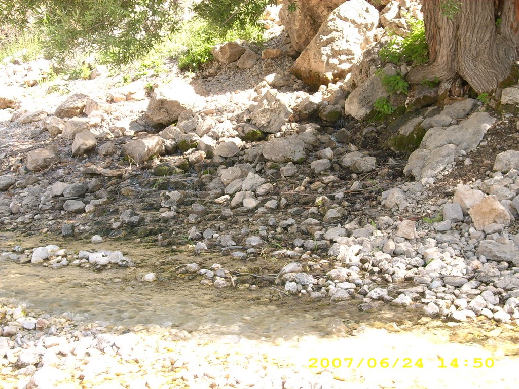 Kalecik/Erzincan Merkez/Erzincan, Turkey by gürkan alci