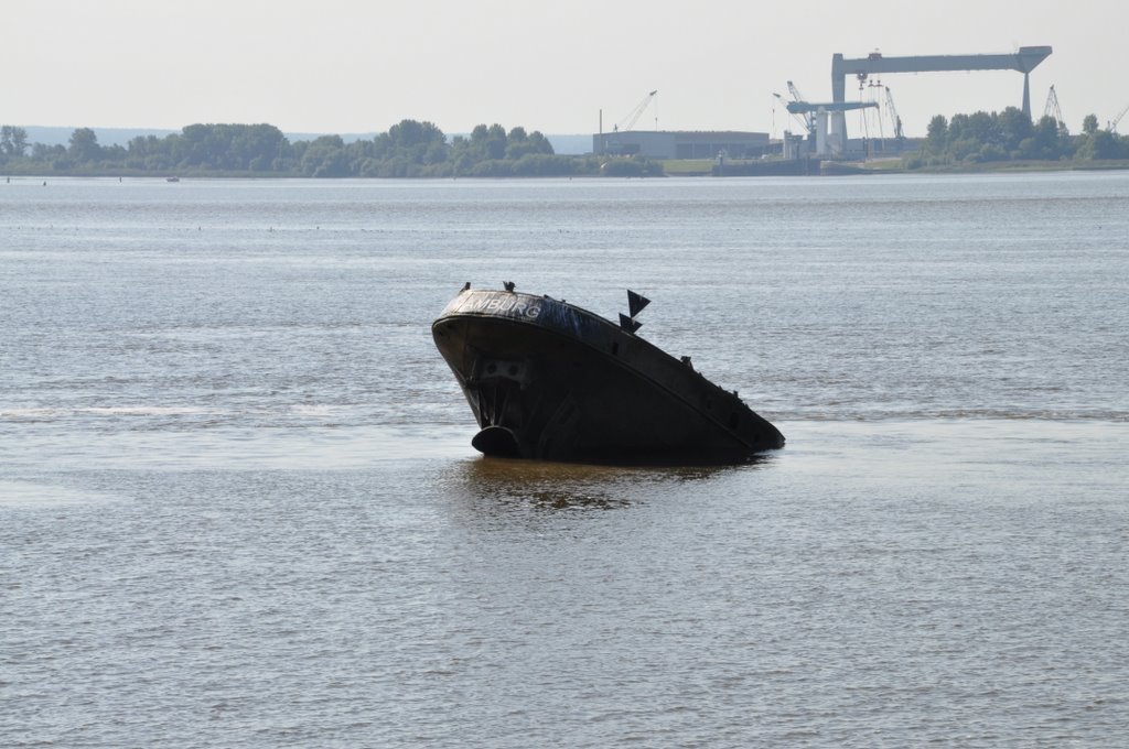 Schiffswrack in der Elbe by tmigge