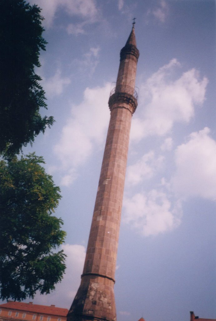 Turkish Minaret, Eger by Zoltán Büki