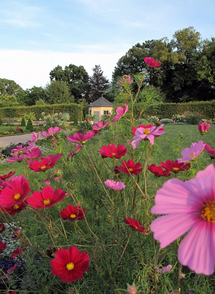 Blumengarten und Pavillon by Kathleen Köhler