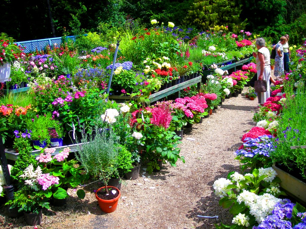 Avoca Garden Centre, Kilmacanogue, July 2009 by Owen J Fitzpatrick