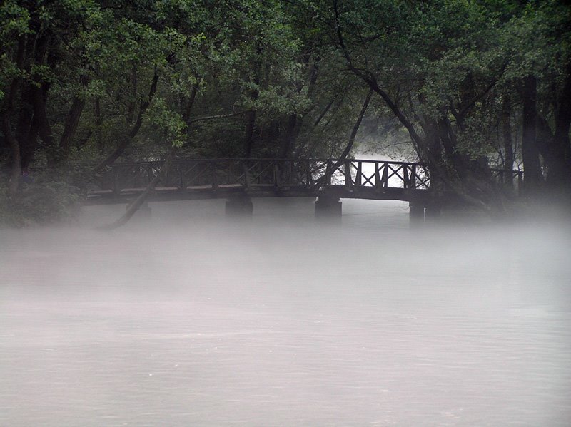 River Bosna in the morning,Sarajevo by edo basic