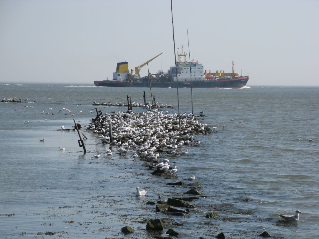 An der Weltschifffahrtslinie by JürWin