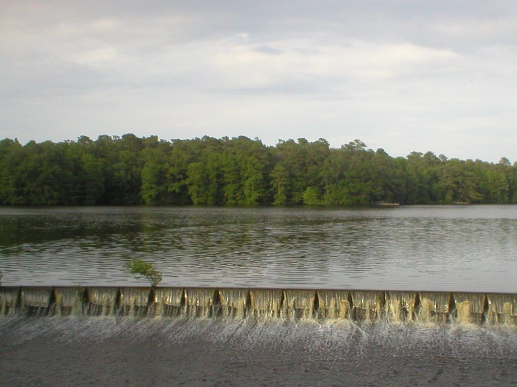 Trap Pond Weir II by MarkJWalter