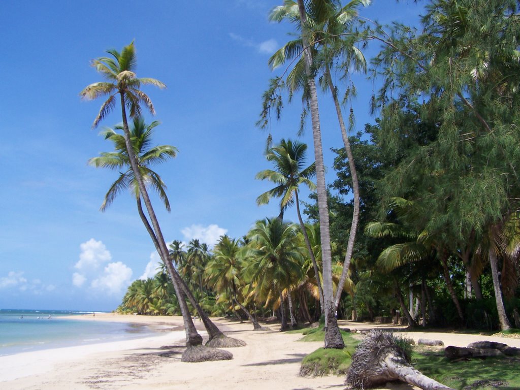 Playa de Las Terrenas, Las Terrenas, Samana, Dominican Republic by www.votava.do