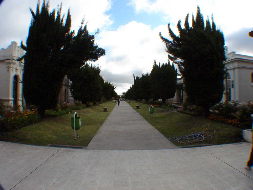 Cementerio de La loma calle central by Roberto Omar Murguet