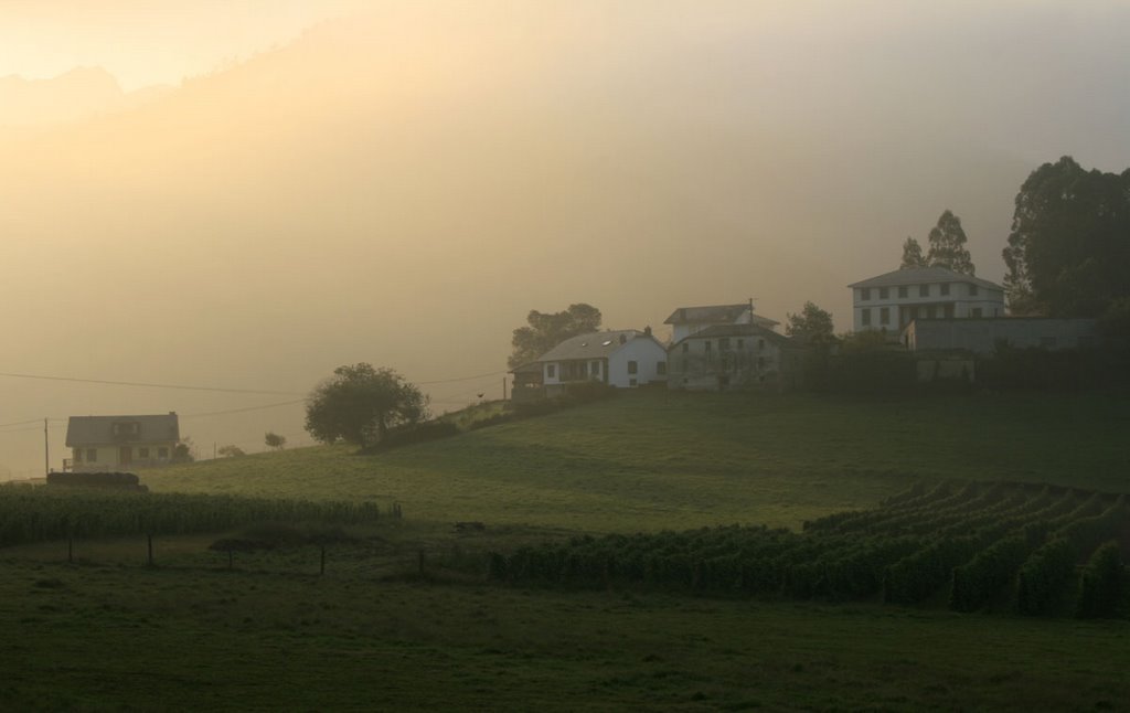 Villayón, Asturias, Spain by arbon