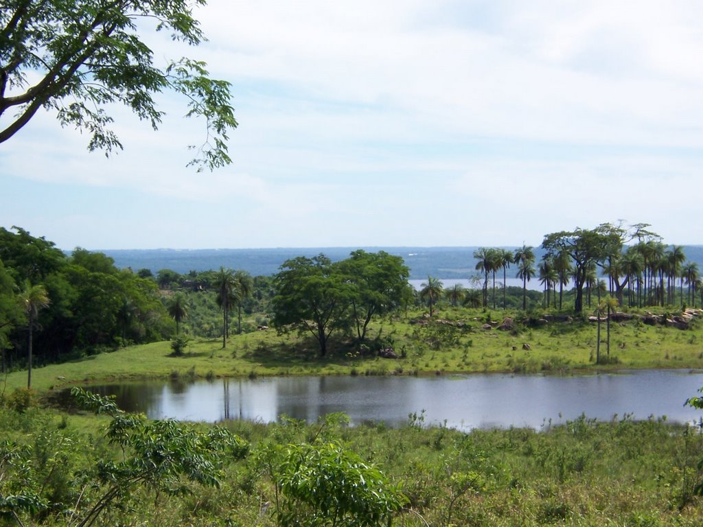 Lago sobre el lago by Paul Coppens Buttner