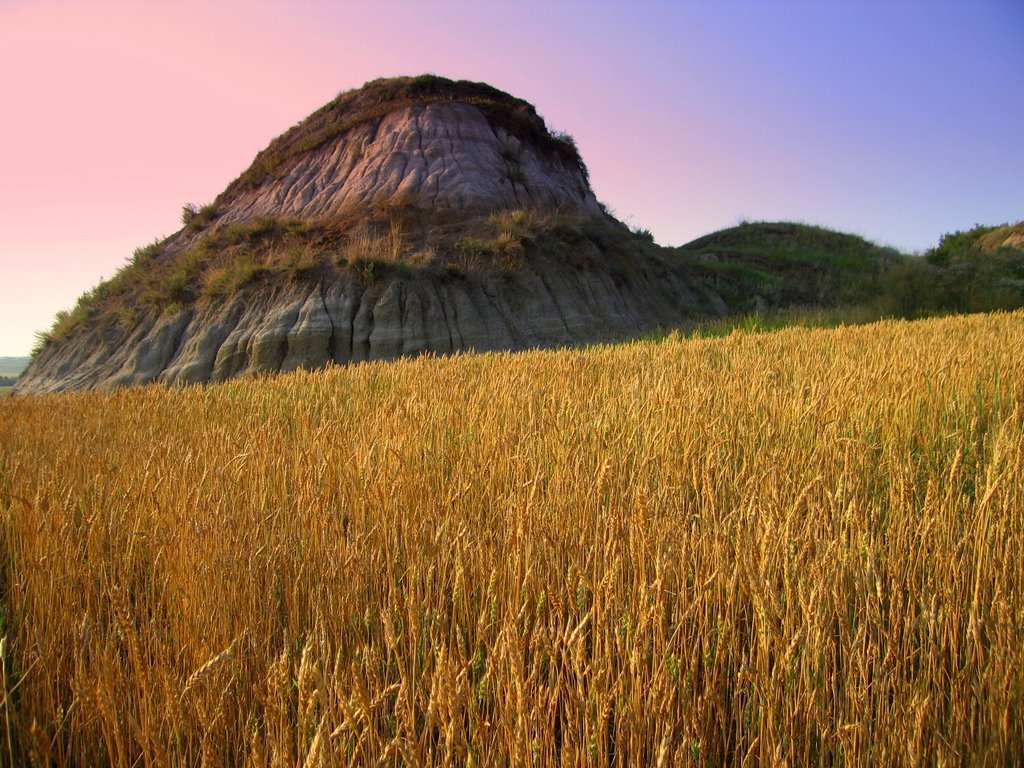 Golden Prairie And Badlands Buttes in Summer Sunset in the Battle River Valley, Southeast of Edmonton AB by David Cure-Hryciuk