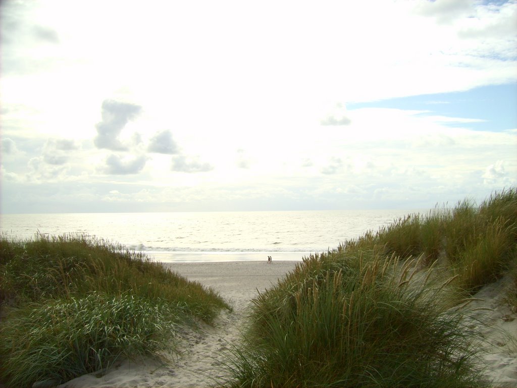 Dünen am Houstrup-Strand Dänemark by Markus_W