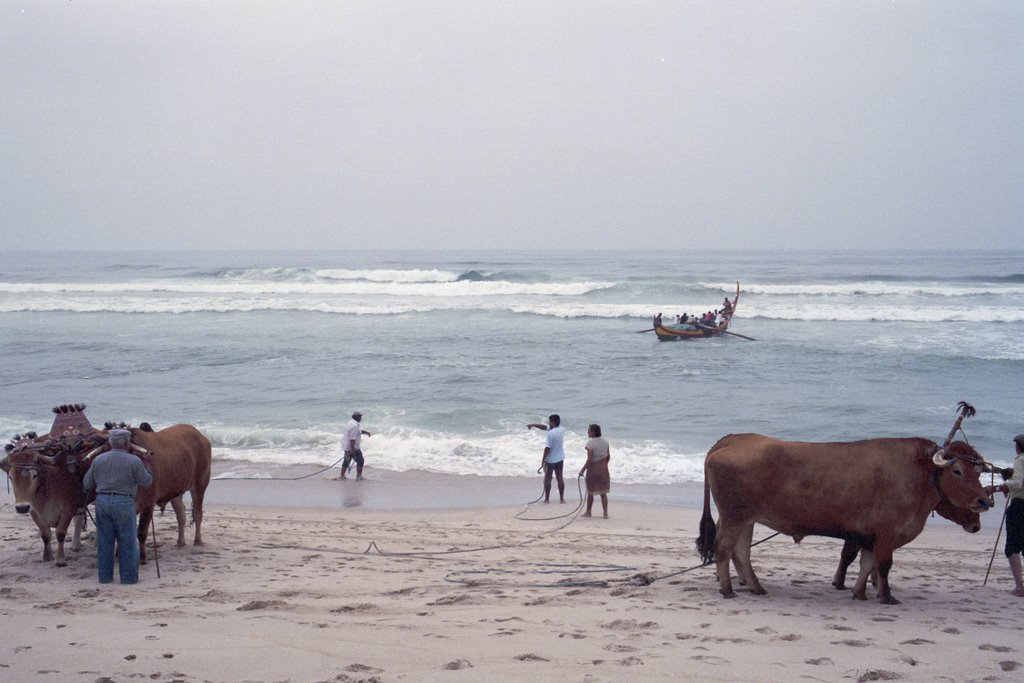 Furaduro Fishing 1990-5 by Henricoo