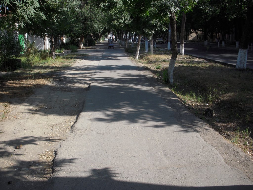 Mirabad District, Tashkent, Uzbekistan by silkway