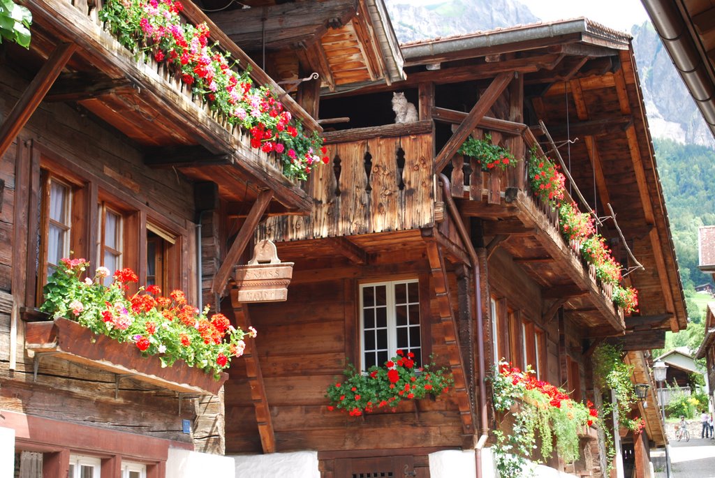 Brienz, Brunngasse, traditionelle Architektur by kurt.fotosuisse