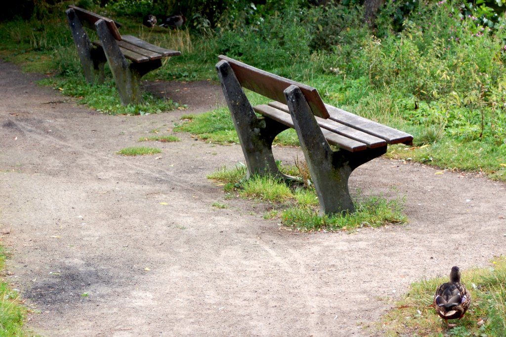 Le banc public by fvexler