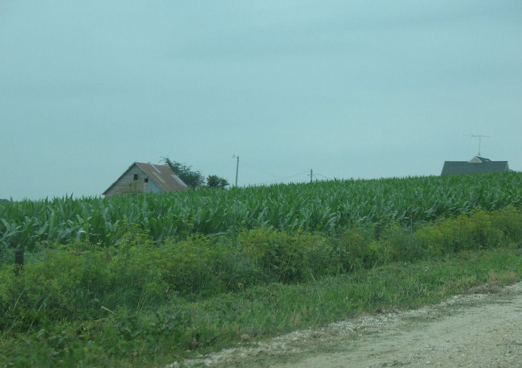 Hidden barn on Mockingbird by sacoo