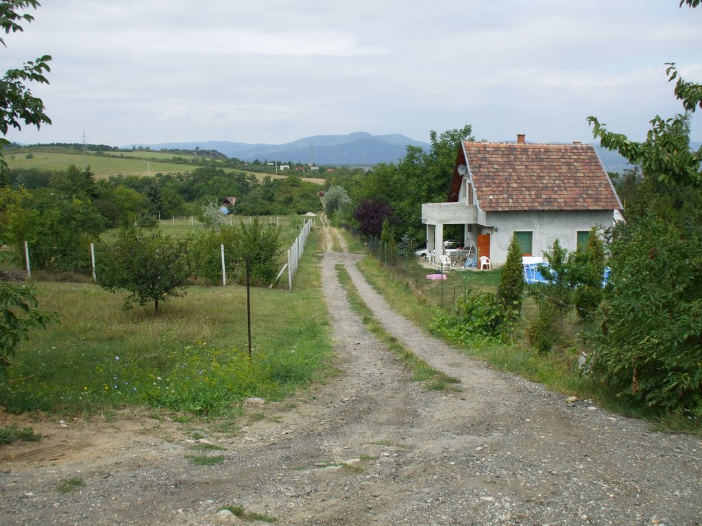 200908241214 Budakalászi látkép a Berdó utcából (View of Budakalasz village) by Kornél2009