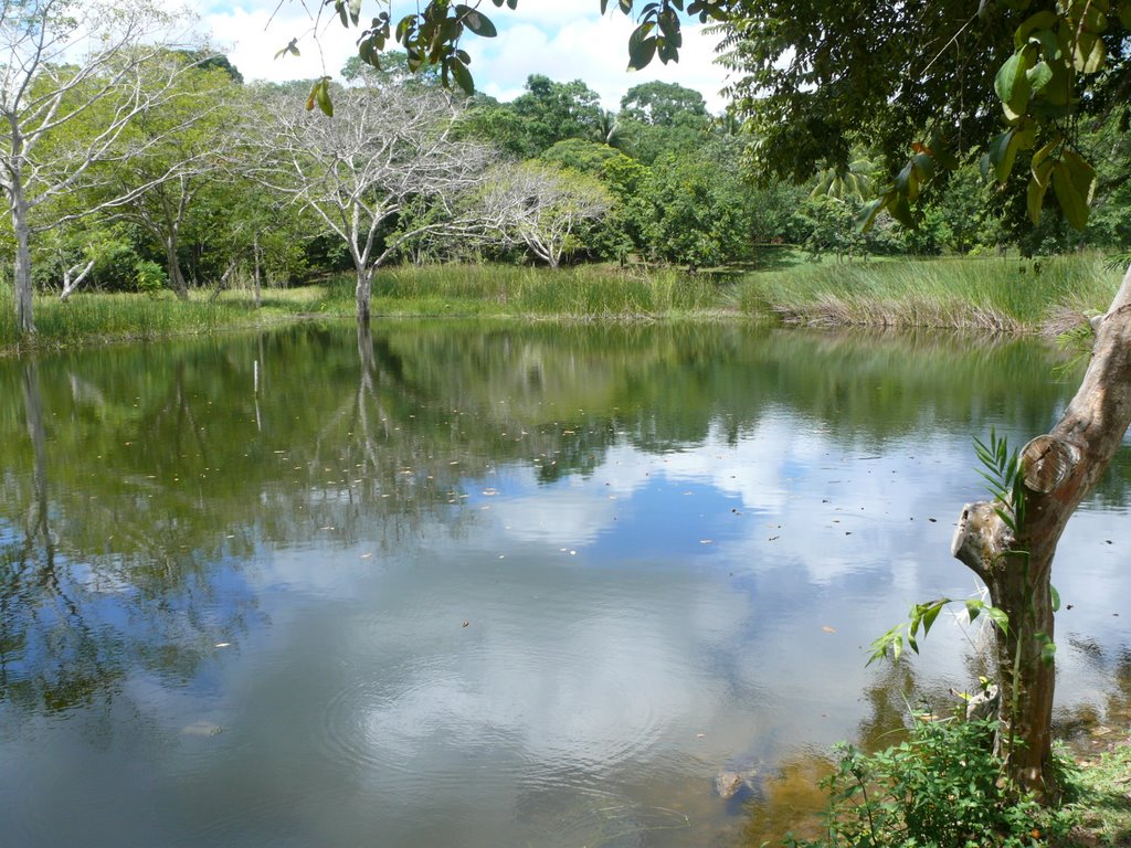 Laguneta del Cocodrilo, Tikal, Petèn, by Edynilson D'Leòn