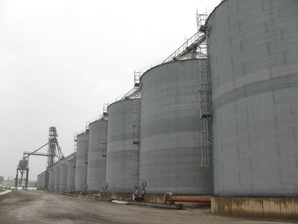 Large grain bins at Exira by sacoo