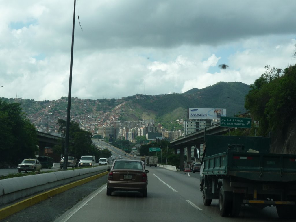 Los Eucaliptus, Caracas, Capital District, Venezuela by Alfredo Guánchez V