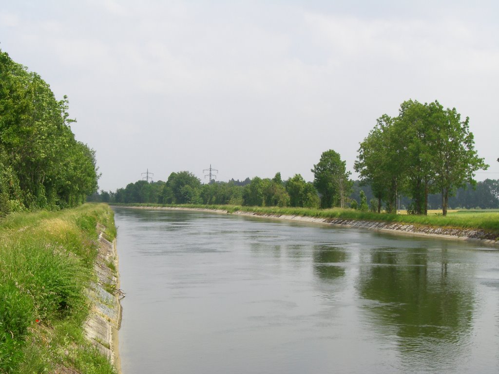 Isarkanal (flußaufwärts), Moosinning by erding76