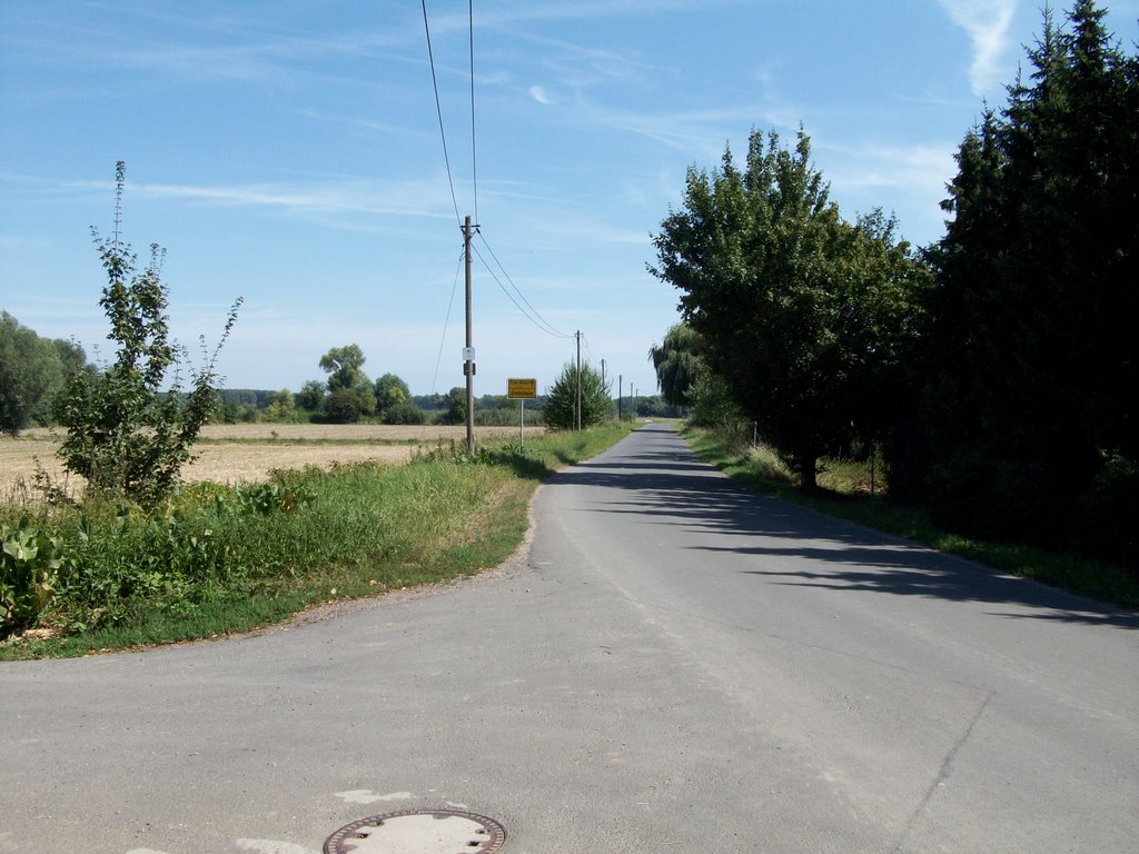 Blick von Gimbsheim Richtung Rhein, 2009 by HPower