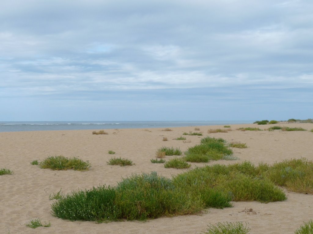 La Cotinière - Plage by StormPics