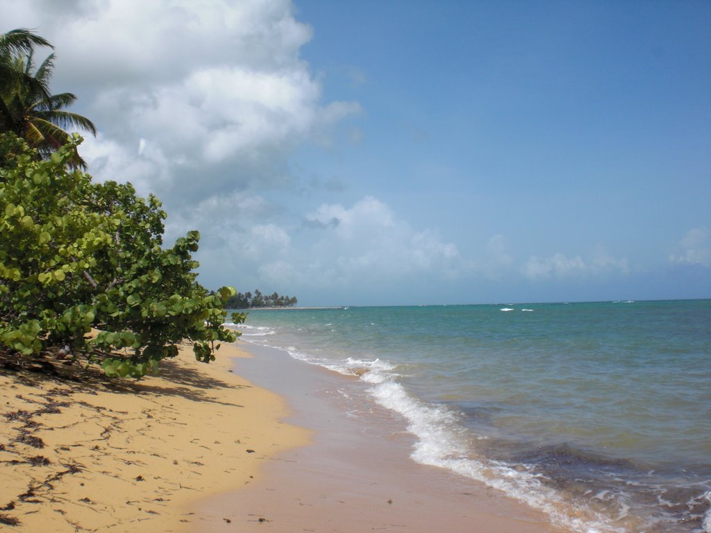 Beach near to the Road from Las Terrenas to Portillo, Samana, Dominican Republic by www.votava.do