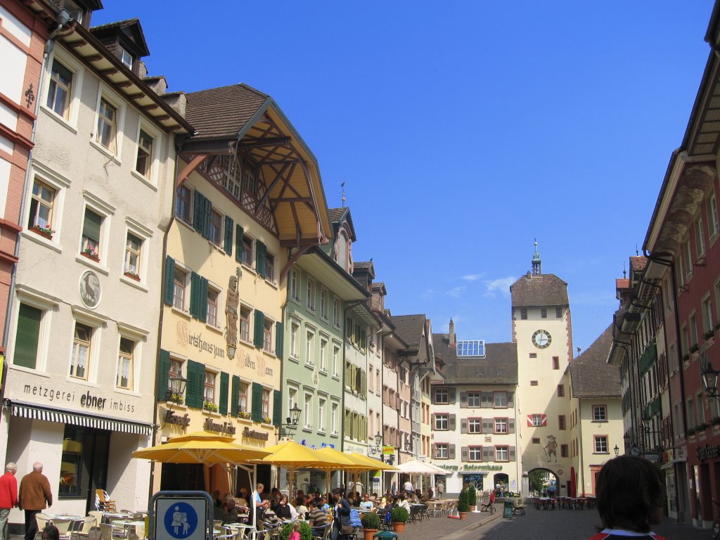 Waldshut by alexandersiberia