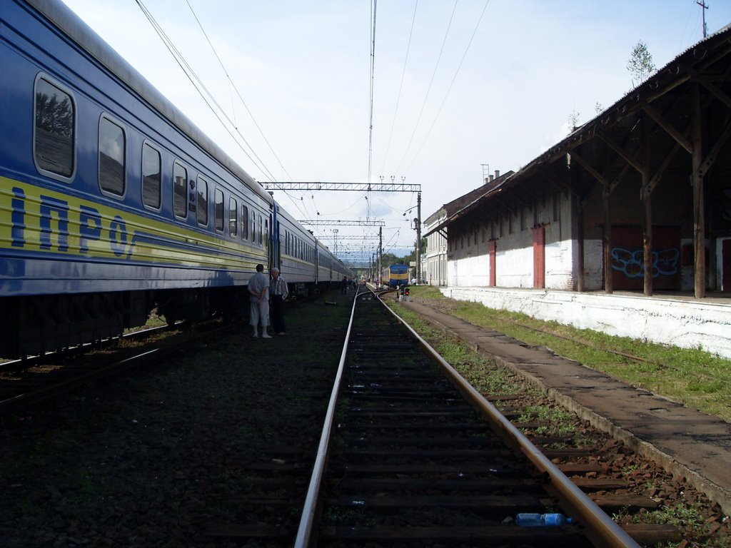 Железнодорожный Вокзал Train Station by tiburon8