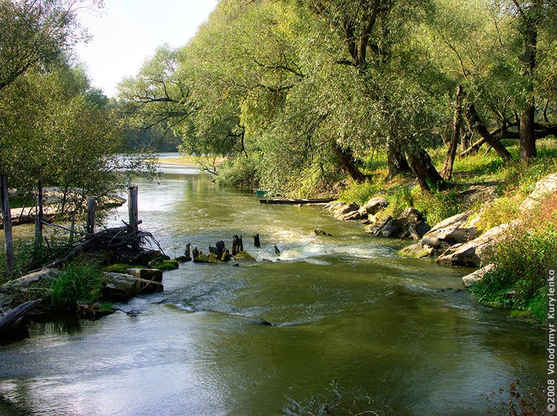 Річка Клевень. Село Камінь, Кролевецький район, Україна * River Kleven. Kamin village, Krolevets region, Ukraine by Volodymyr Kurylenko