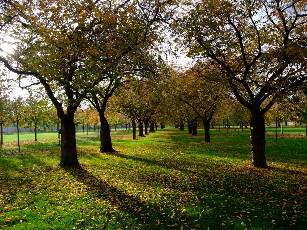 Herbststimmung by Ma_Wo