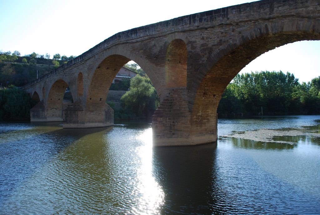 Puente La Reina 2 by Pedro Lopez Medina