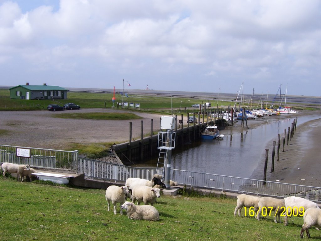 Hafen bei Ebbe by utzibbg