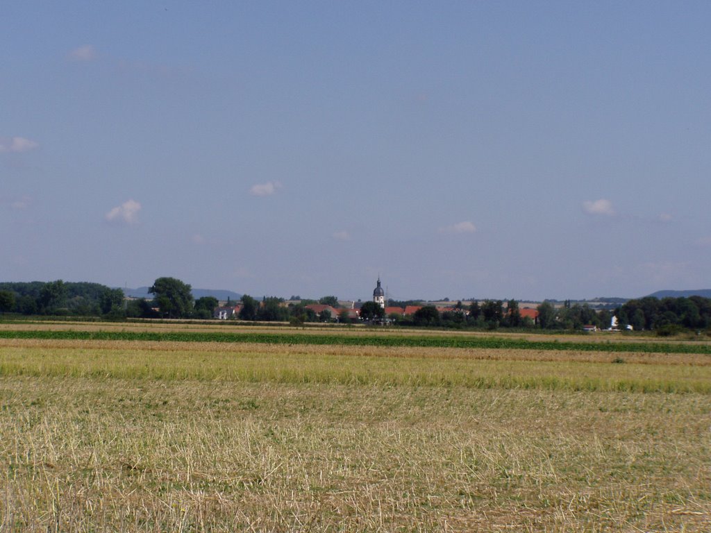 Augsfeld by fcaugsfeld