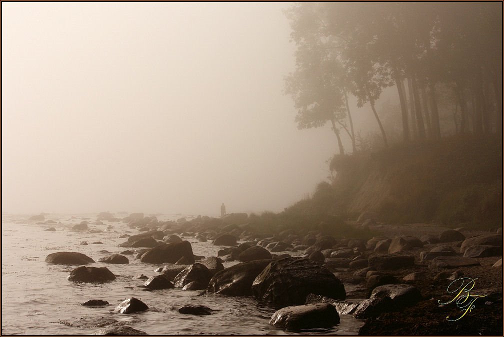 Morgennebel bei Katharinenhof by Bernd Freudenstein